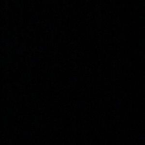 Meet your Posher, Owen